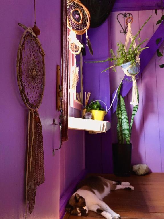 Hostel Espiral Lar Floripa